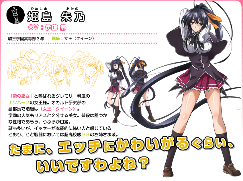 /images of/姫島 朱乃（ひめじま あけの）/from/ハイスクールD×D （Highschool D×D）/uploads/chars/4758-1496274461.png